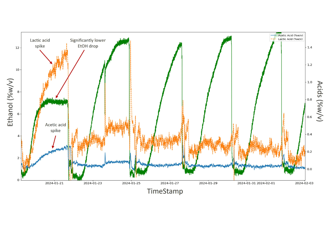 Concentration trace over five consecutive fermentations, showing the results of a bacterial infection in fermentation 1 with elevated lactic and acetic acid levels and reduced ethanol production